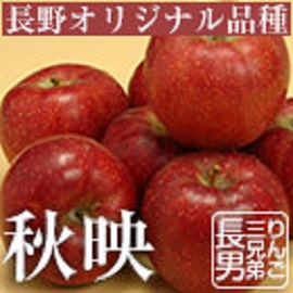 長野県　長野　長野県産　ながの　信州　信州産　中野市　山ノ内町　飯山市 小布施町　須坂市　志賀高原　果物　くだもの　フルーツ　信州りんご　秋りんご　りんご　信州りんご三兄弟　秋映　あきばえ　プレゼント　ギフト　贈り物