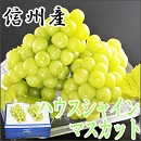 長野県　信州　中野市　須坂市　飯山市　山ノ内町　志賀高原　木島平　野沢温泉　シャインマスカット　シャイン　マスカット　ぶどう　ハウスぶどう　ハウス栽培　贈り物　贈答　お中元　御中元　プレゼント　ギフト