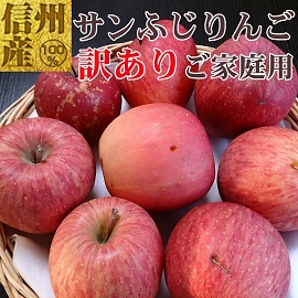 りんご　サンふじ　長野　信州