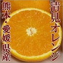 熊本県　愛媛県　熊本　くまもと　愛媛　えひめ　くだもの　果物　フルーツ　みかん　柑橘　清見オレンジ　オレンジ　国産　ギフト　贈り物　贈答　プレゼント