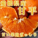 愛媛県　愛媛　果実　くだもの　柑橘　みかん　甘平　かんぺい　贈り物　贈答　プレゼント