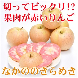 長野県　長野　ながの　信州　中野市　なかの　須坂市　飯山市　山ノ内町　志賀高原　くだもの　りんご　信州りんご　なかののきらめき　赤い果肉　赤肉りんご　新品種　信州限定　お歳暮　冬ギフト　贈り物　贈答　プレゼント
