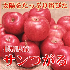 長野県　長野　ながの　信州　中野市　須坂市　飯山市　山ノ内町　志賀高原　小布施　小布施町　千曲市　果物　果実　フルーツ　くだもの　りんご　長野りんご　サンつがる　サン津軽　さんつがる　秋りんご　敬老の日　お歳暮　冬ギフト　ギフト　贈り物　贈答　プレゼント