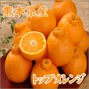 熊本県　熊本　くまもと　果実　くだもの　フルーツ　柑橘　みかん　デコポン　でこぽん　トップオレンジ　オレンジ　国産　ギフト　贈り物　贈答　プレゼント